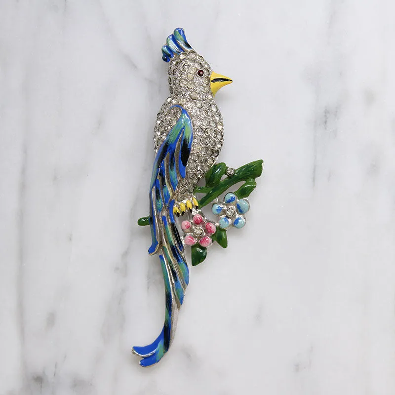 Coro Tropical Bird Duette Clips without Frame