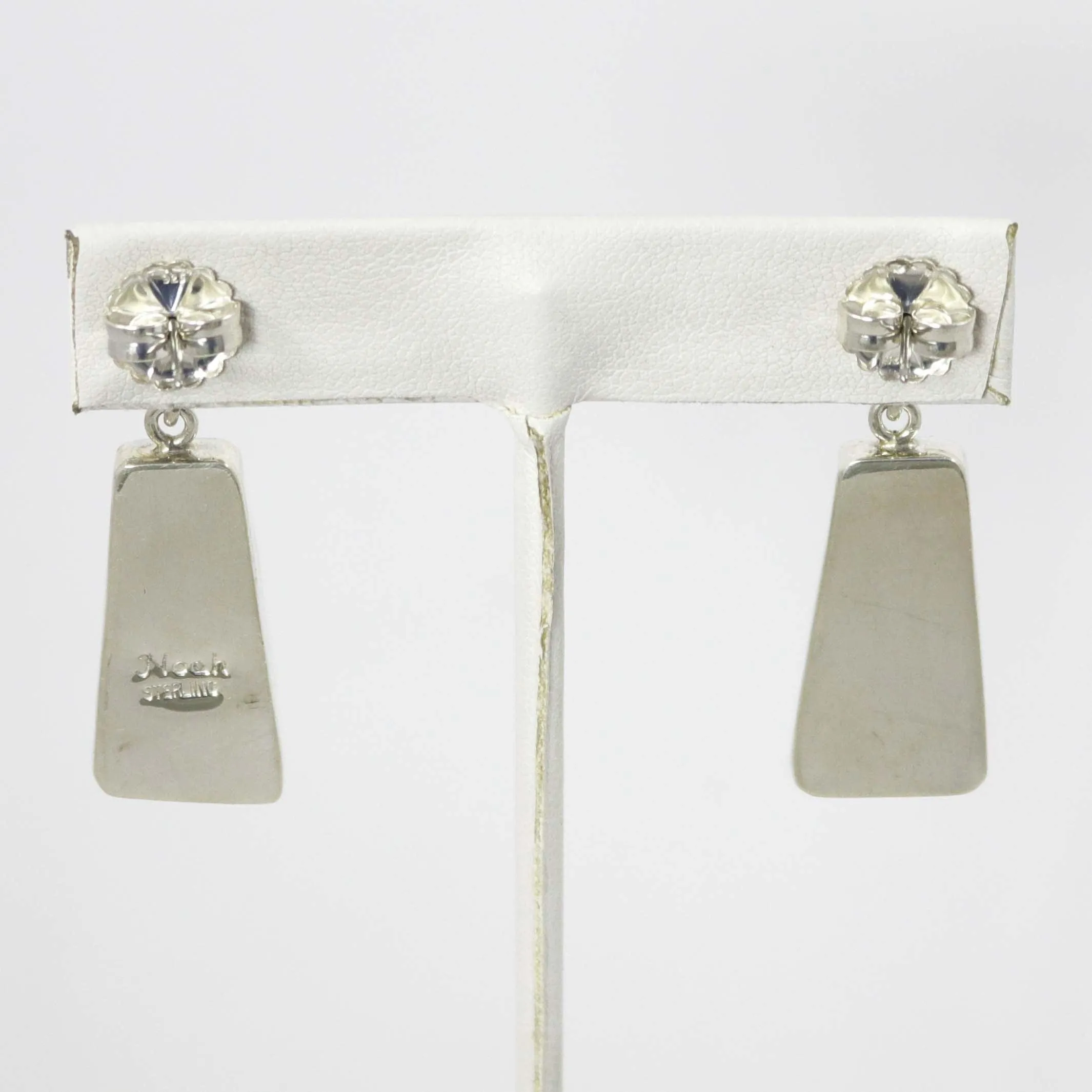 Dinosaur Bone Earrings