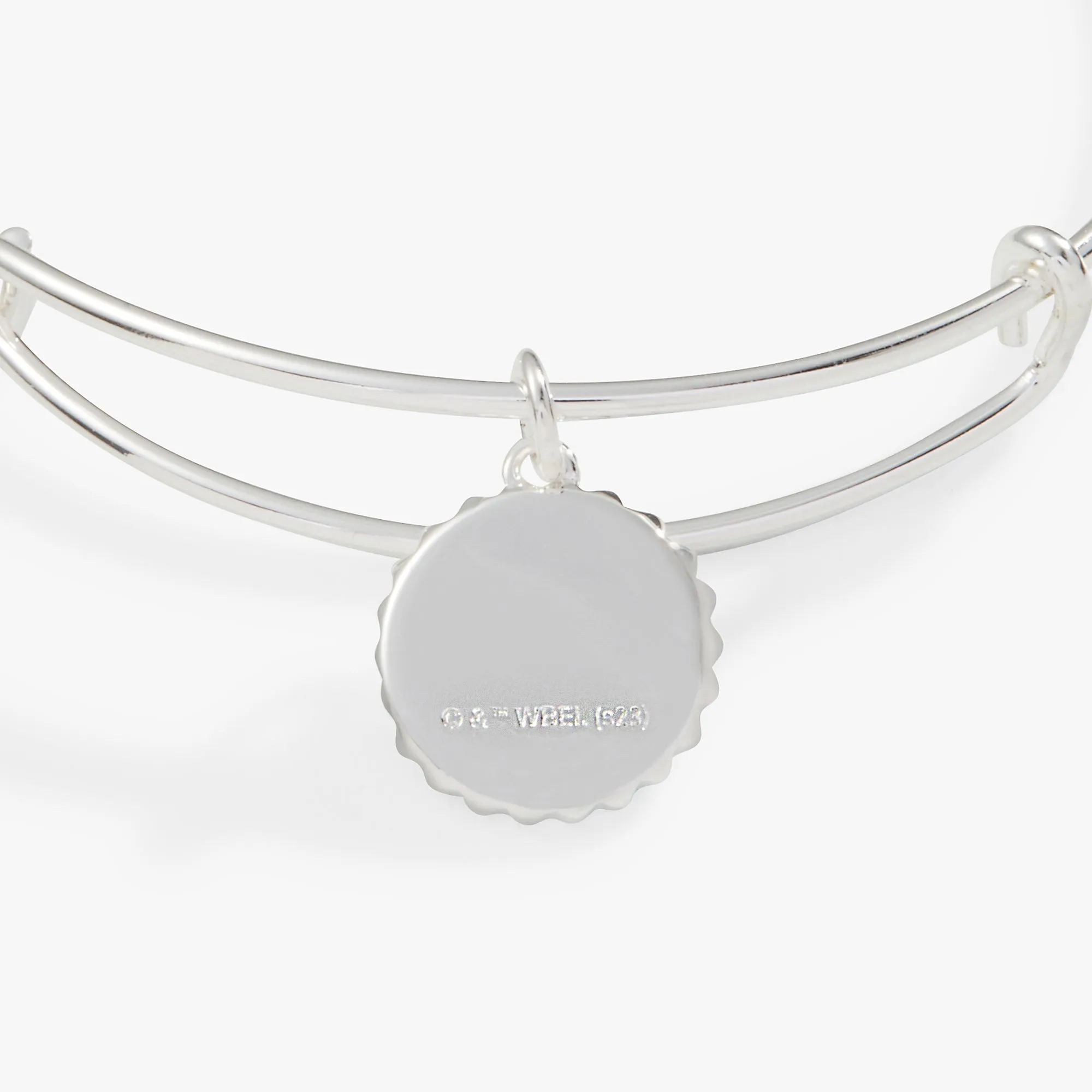 Harry Potter? Ravenclaw House Charm Bangle