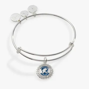 Harry Potter? Ravenclaw House Charm Bangle