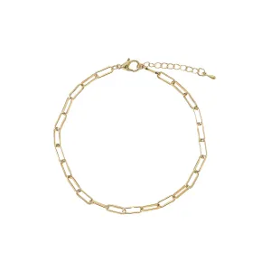 Link chain Anklet in Silvery and Golden assorted