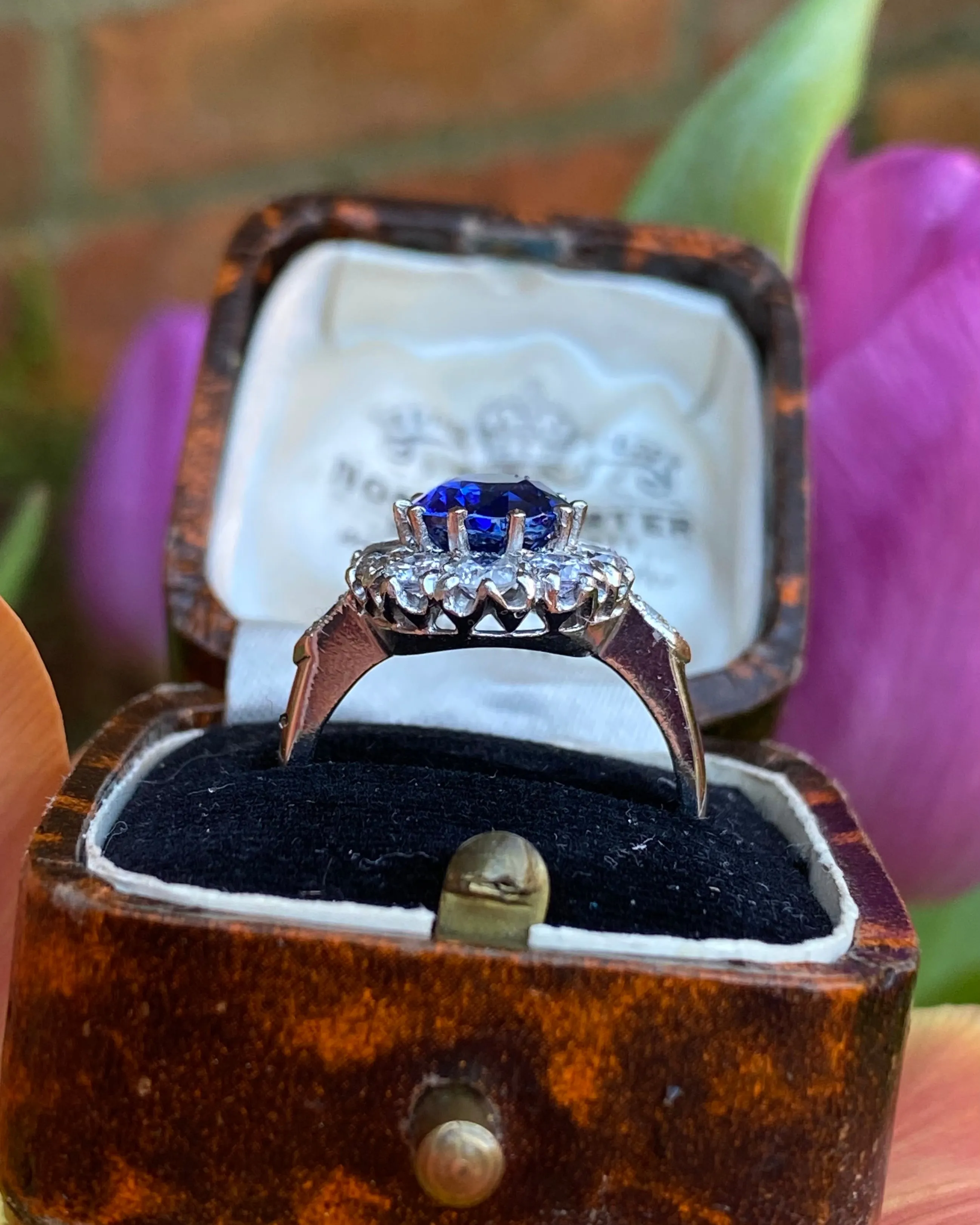 Victorian Sapphire and Diamond Cluster Platinum Ring 1.35ct   2.55ct