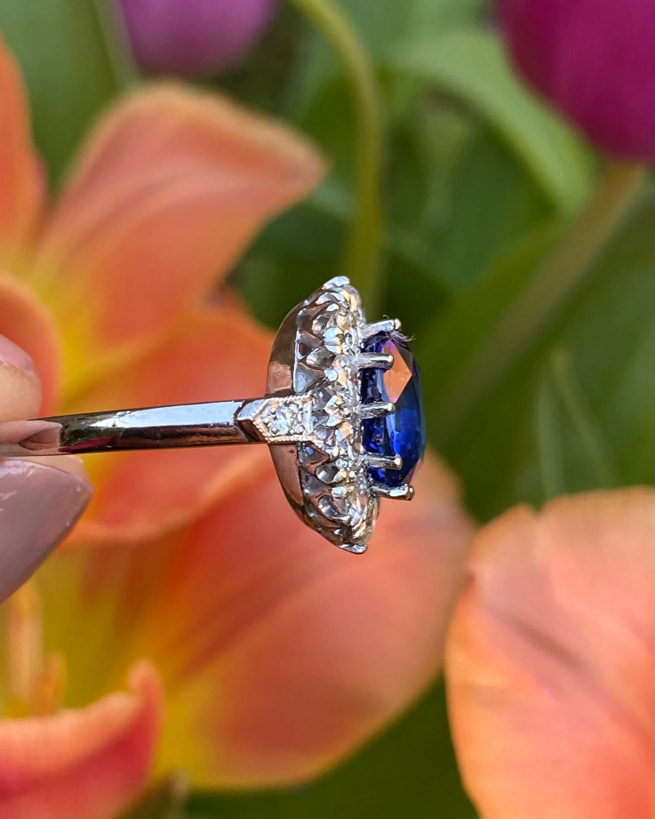 Victorian Sapphire and Diamond Cluster Platinum Ring 1.35ct   2.55ct
