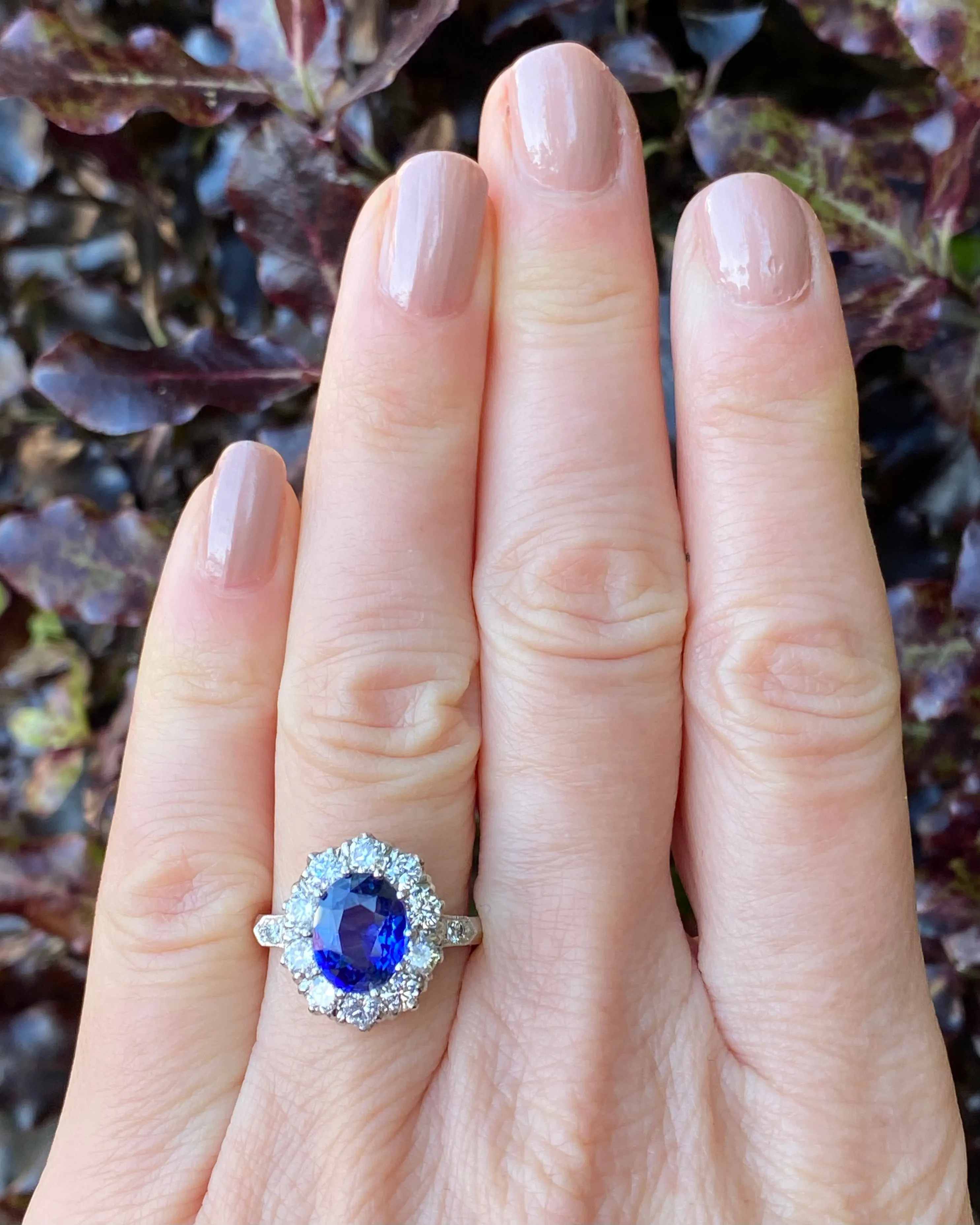 Victorian Sapphire and Diamond Cluster Platinum Ring 1.35ct   2.55ct